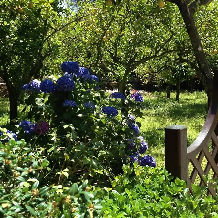 Villa Casa Di Olga Massa Lubrense